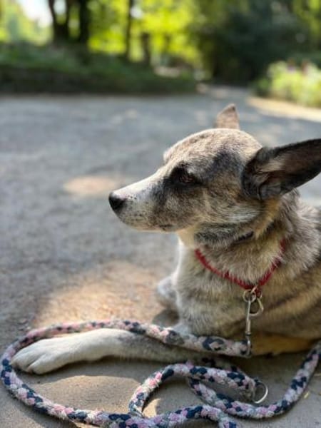 Finja - Die Hübsche 💕