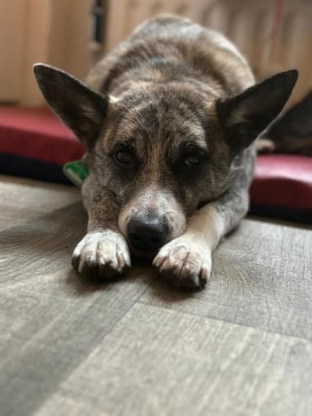 Finja - Die Hübsche 💕