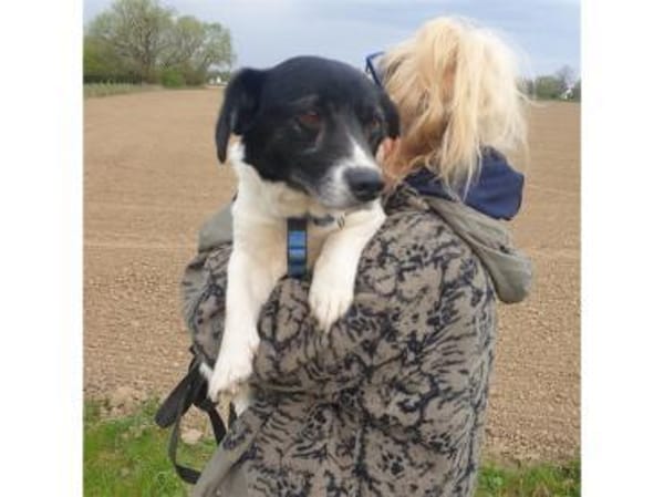 Tabasco - wartet in 59199 Bönen