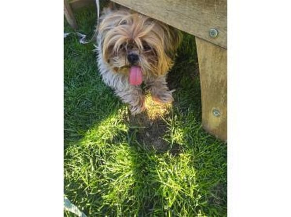 Carla - wartet in 97440 Werneck