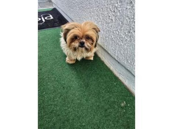 Carla - wartet in 97440 Werneck