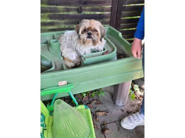 Carla - wartet in 97440 Werneck