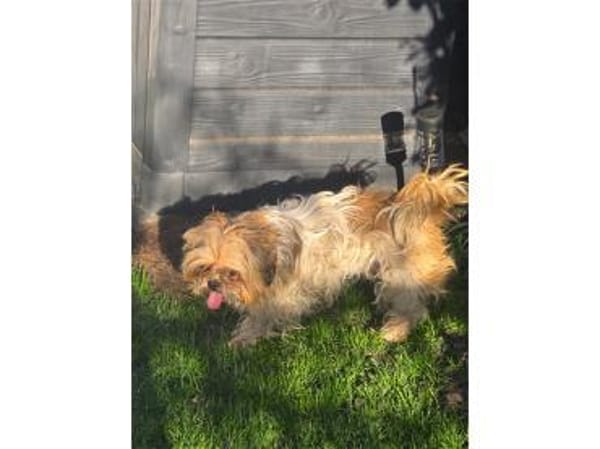 Carla - wartet in 97440 Werneck