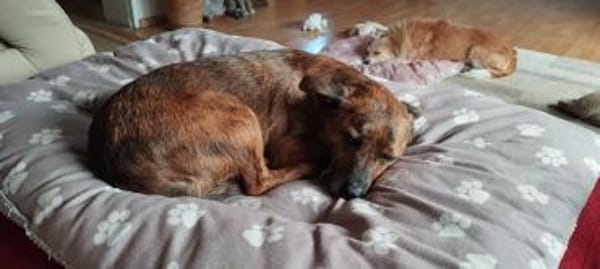 sehr liebe kleine Mathilda auf PS 90562