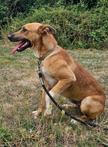 engagierter Jorge will gesehen werden