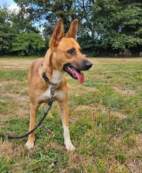 engagierter Jorge will gesehen werden