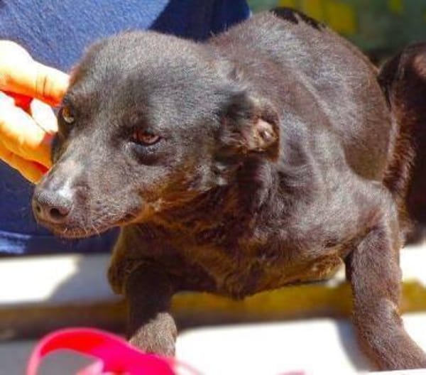 FEY sucht Familienanschluss