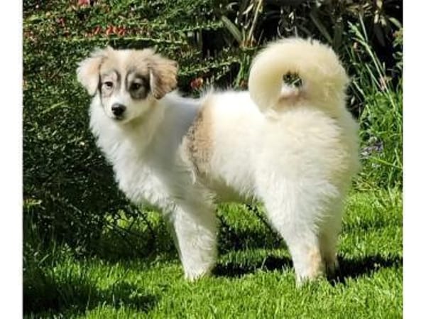 Diana - wartet in 76437 Rastatt