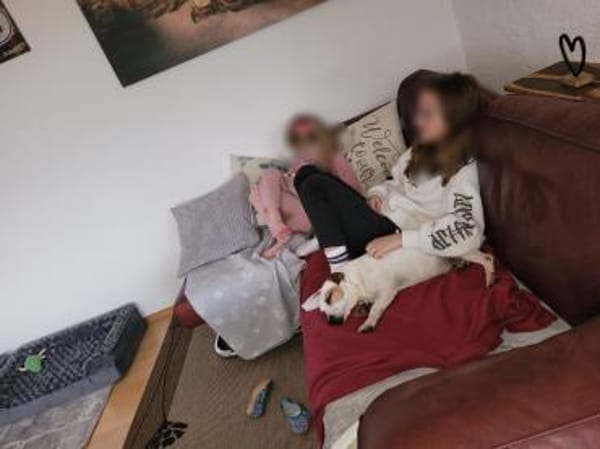 Traum Jack Russll Raton sucht Körbchen