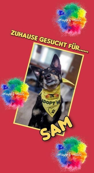 aktiver Sam auf PS in 90571 Schwaig