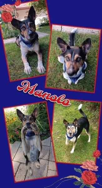 Manolo- wartet in München auf Dich!