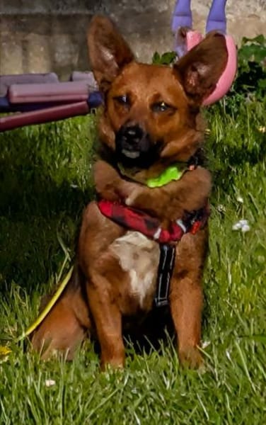 kleine süße Aurea auf PS in 91207