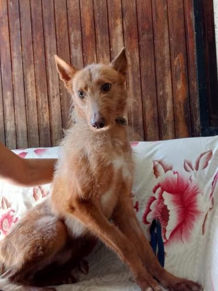 Tom(Tano ) möchte glücklich werden