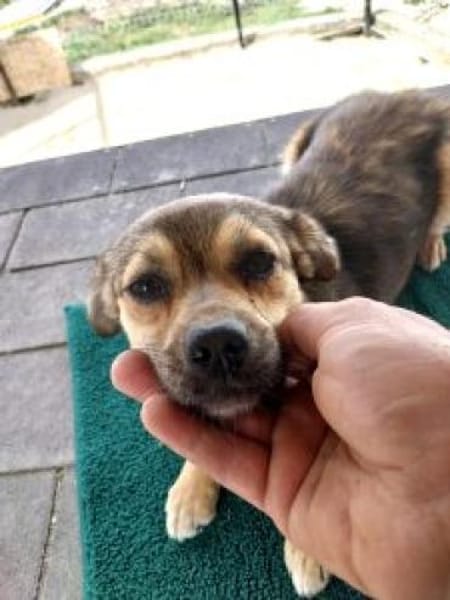 Bounty 28 cm (Pflegestelle)