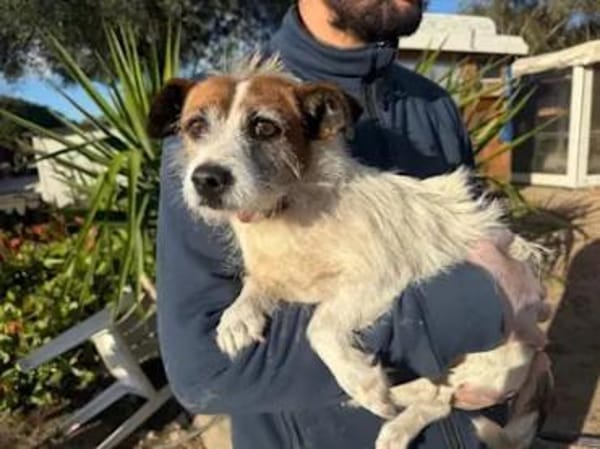 NINO - ab Mai auf PS in Duisburg