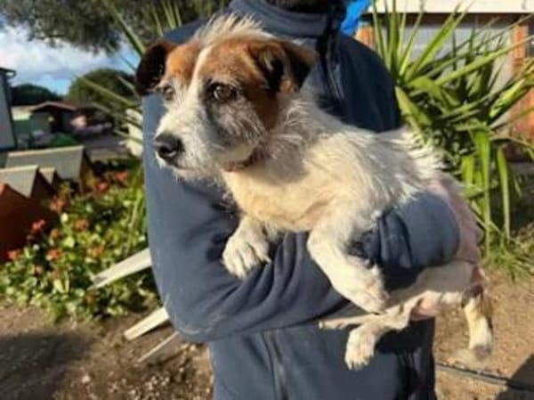 NINO - ab Mai auf PS in Duisburg