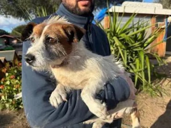 NINO - ab Mai auf PS in Duisburg