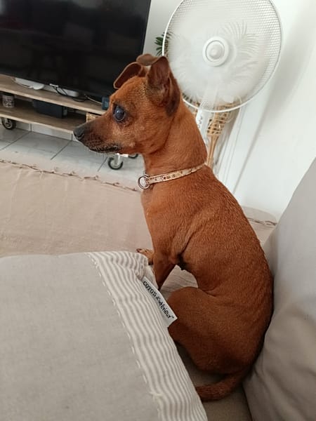 Roxy la mamie coquine