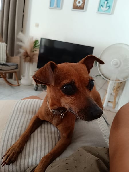 Roxy la mamie coquine