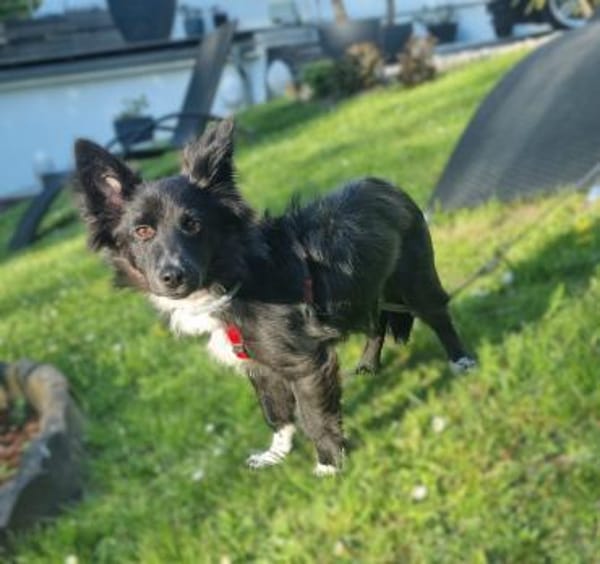 Limo möchte endlich ankommen...