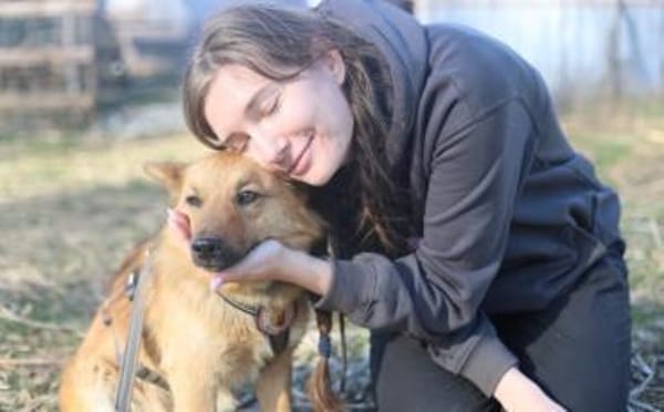 Zuhause gesucht für Dan