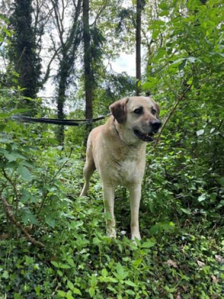 Chum - noch lange kein Opa