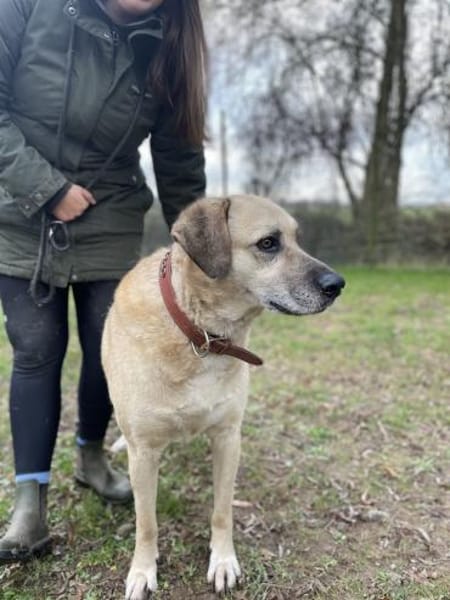 Chum - noch lange kein Opa