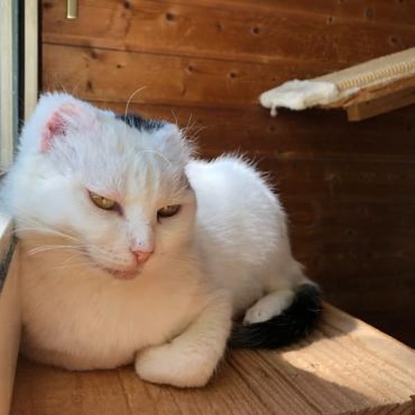 Rony&Fiona- einfach unzertrennlich