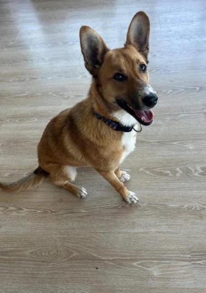 Naida, einfach großartig