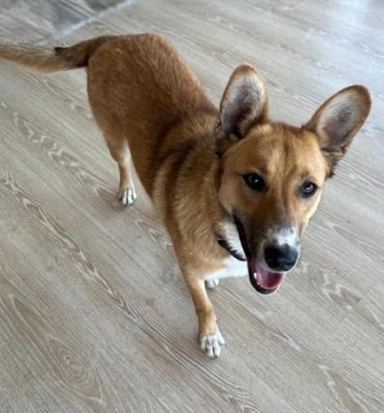 Naida, einfach großartig