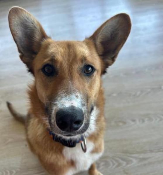 Naida, einfach großartig