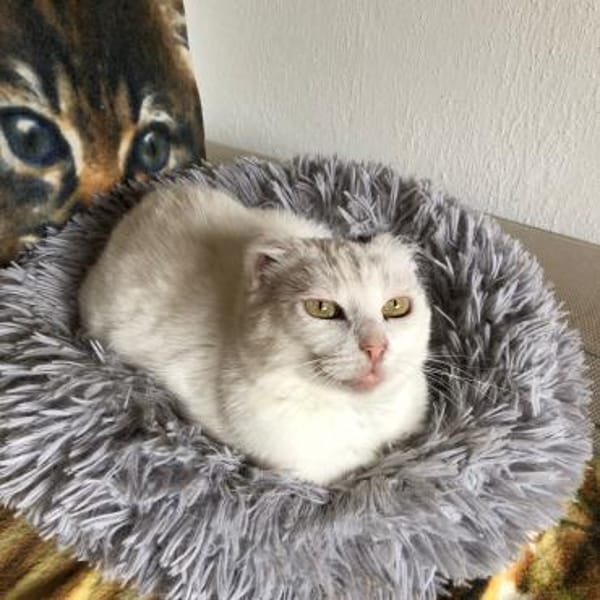 Fiona - zarte Kämpferin