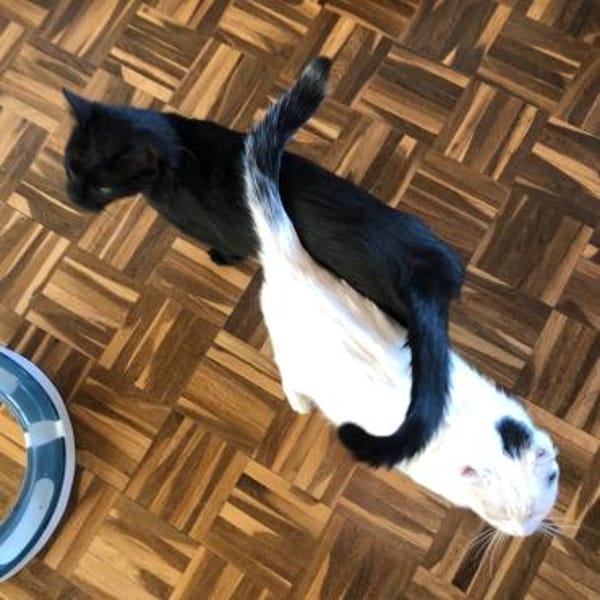 Fiona - zarte Kämpferin