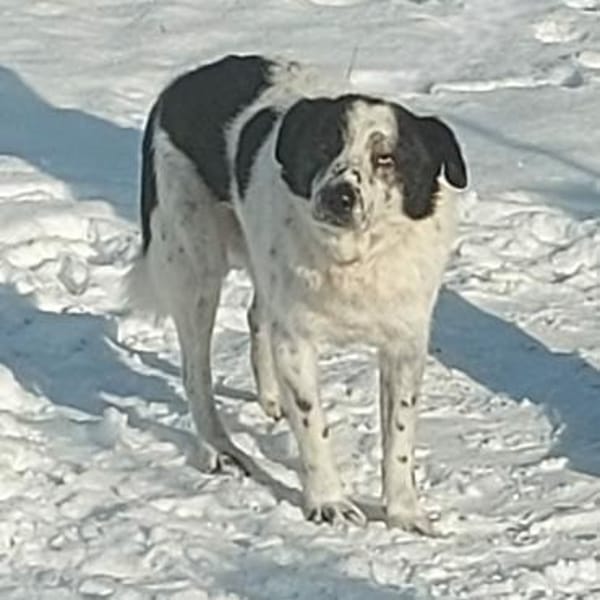 Sven  - er erhellt meine Welt?