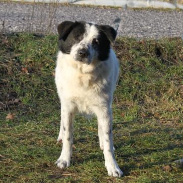 Sven  - er erhellt meine Welt?