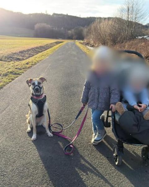 Bonnie - Rohdiamant sucht ihre Menschen