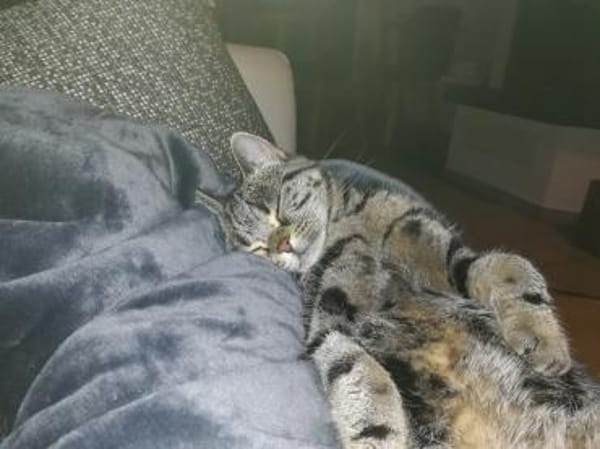 hübsche Lilly Nähe Mainz / Wiesbaden