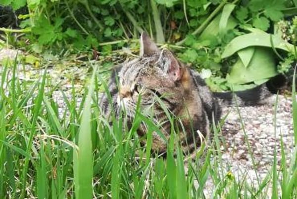 hübsche Lilly Nähe Mainz / Wiesbaden