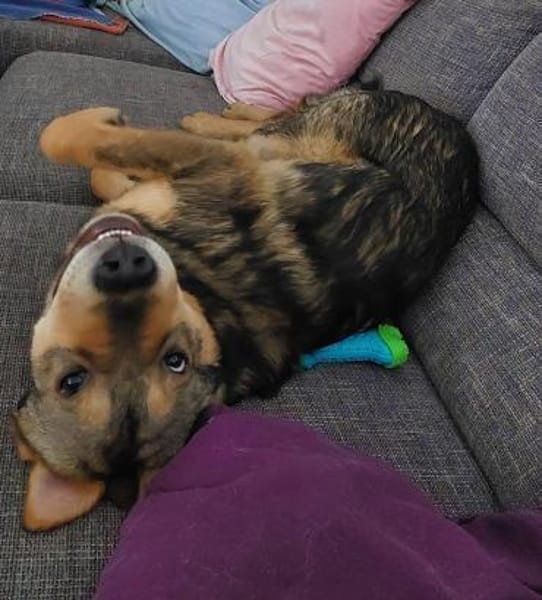 Jampy * und ab ins Herz seiner Menschen