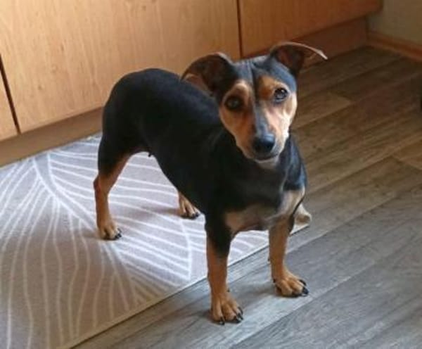 Kleine Nadia wurde ausgesetzt