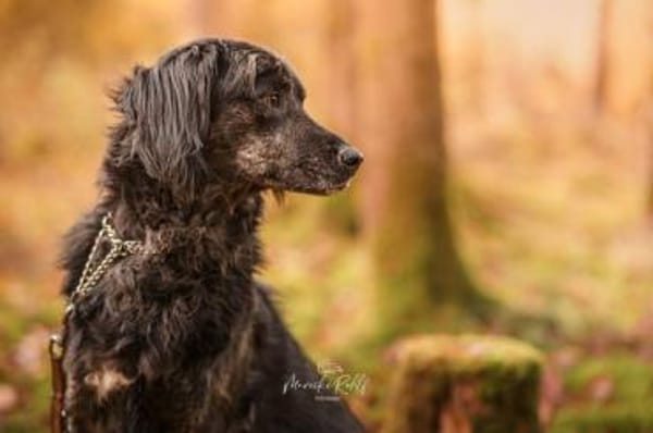 JAMPY * sportlicher Schmuser