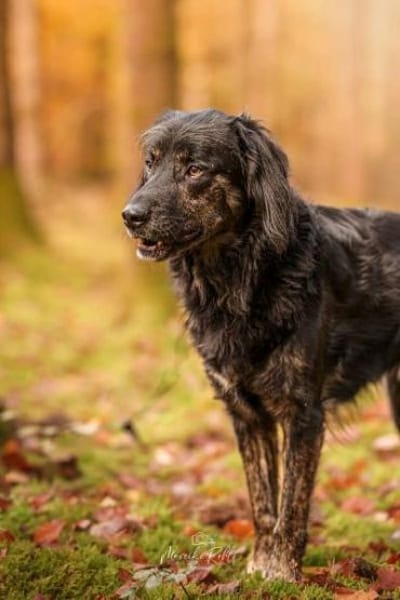 JAMPY * sportlicher Schmuser