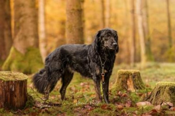 JAMPY * sportlicher Schmuser