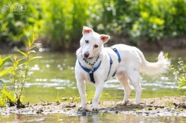 JONATHAN -sucht erfahrene Menschen-