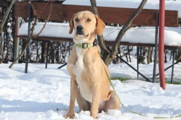 Tim sucht seine Menschen...