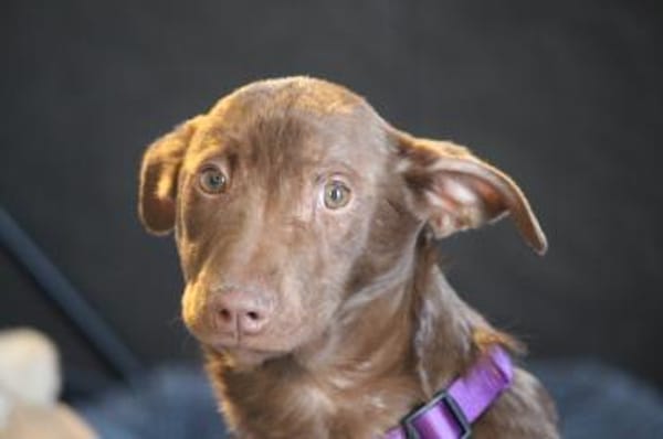 Malina unsere kleine Schönheit..