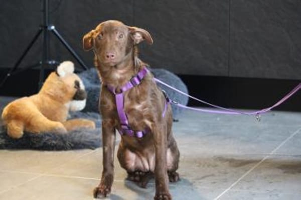 Malina unsere kleine Schönheit..