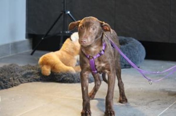 Malina unsere kleine Schönheit..