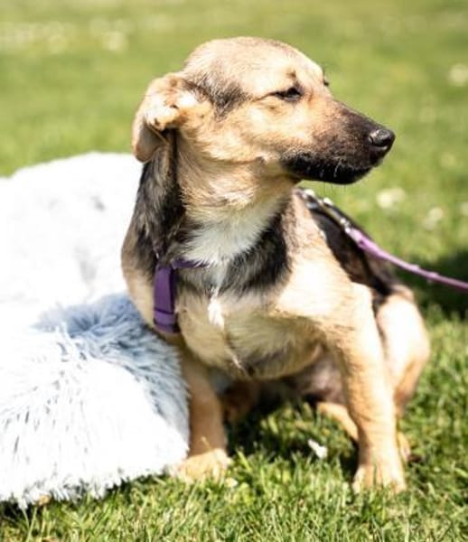 Yami  kleine Kämpferin mit großem Herzen