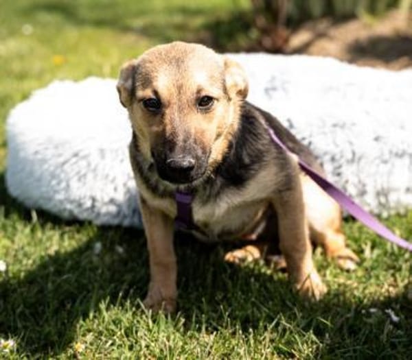 Yami  kleine Kämpferin mit großem Herzen